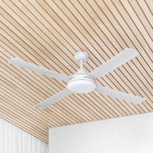 Nemoi DC Ceiling Fan with LED